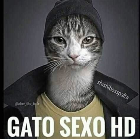 sexo hd|sexo.